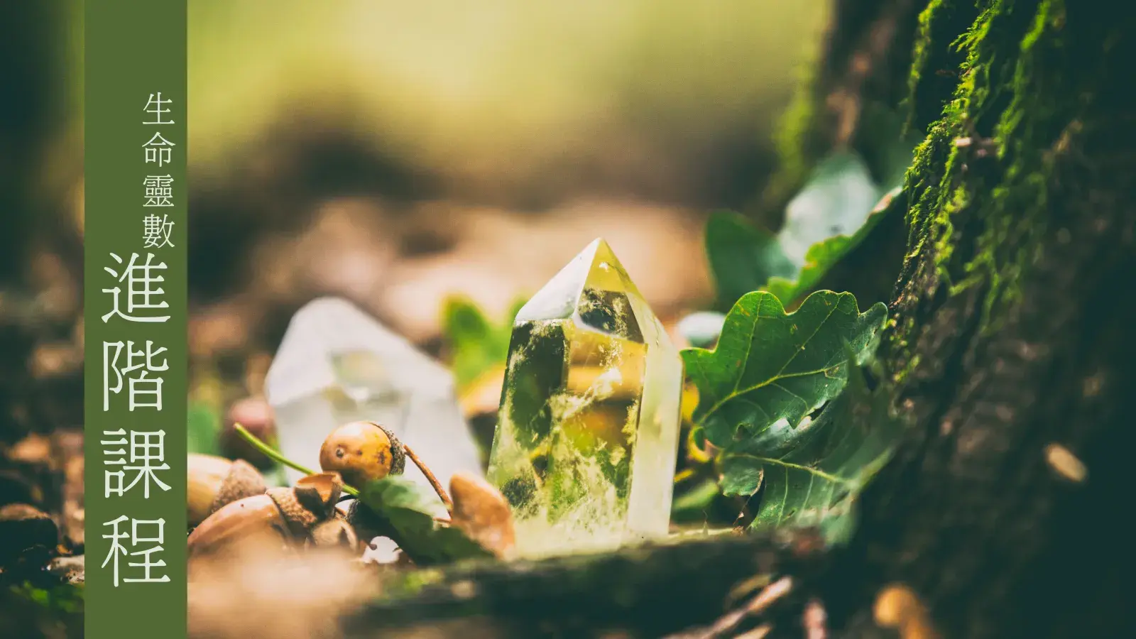 生命靈數進階課程